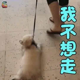 我不走gif我不要走gif抓狂gif耍赖gif