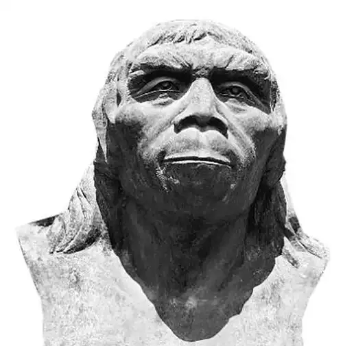 且石器数目较大.这个"大"是通过与其他原始人类的对比而得到的.