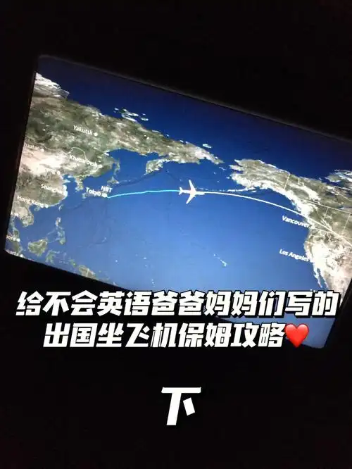 给远渡重洋的爸爸妈妈们写的坐飞机攻略下