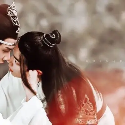 魏无羡蓝忘机 情头