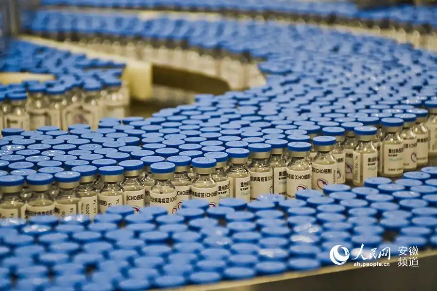 生产线上,刚刚生产出来的新冠疫苗.人民网 周坤摄