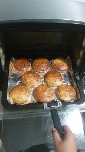 新南方电烤箱,烤烧饼多少温度合适,为什么我烤出来的烧饼不上色