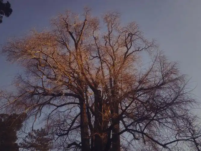 iphone拍摄胶味儿十足