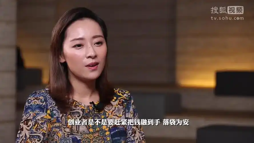 吴婷对话厉伟:"资本寒冬"就是狗换毛,乱中取胜有方法