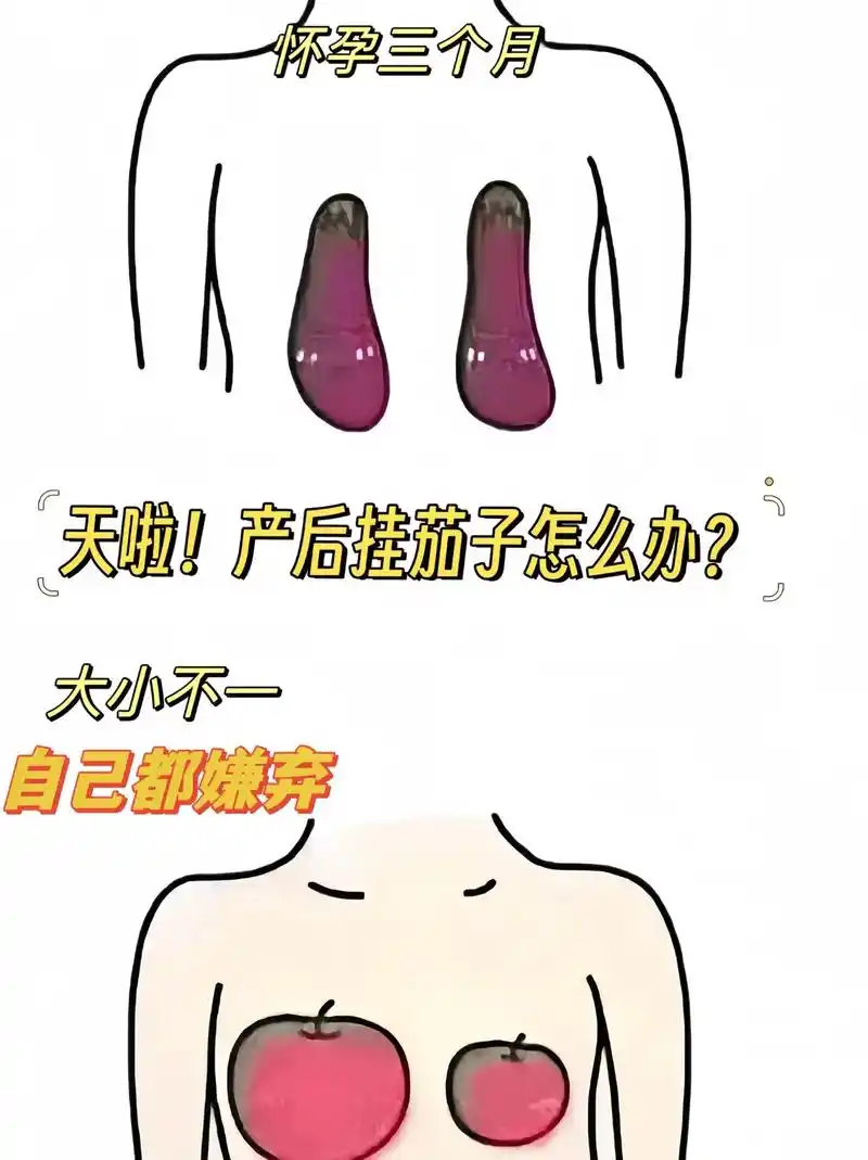 孕妇哺乳内衣.怀孕 3 个月后,乳房会迎来第二次发育,此时就 - 抖音