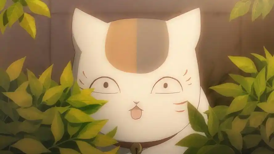 夏目友人帐:猫咪老师鬼混归家必有惊喜!可把胖太给忙坏了