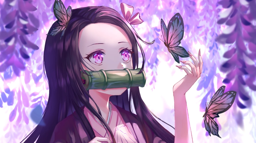 华为认证培训费为什么这么贵