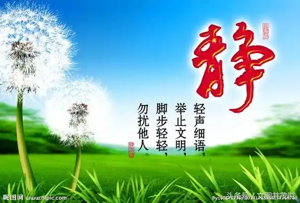 静少说话,多倾听.因为爱说话的人,本就失去了一分宁静的美.