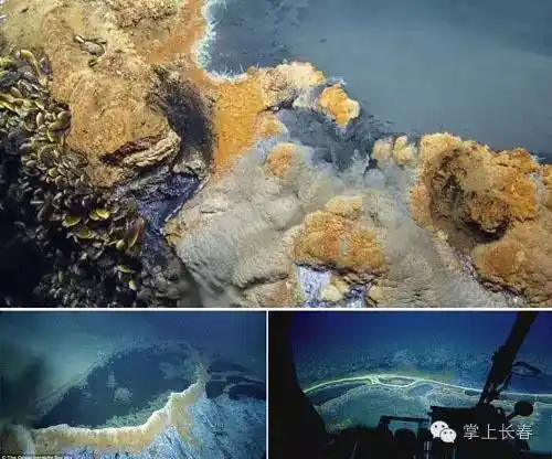 "这是深海地区的一件奇妙事情,当你下到海底的时候,你会看到有湖泊