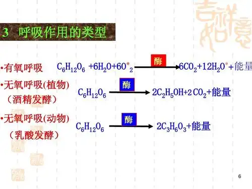 有氧呼吸 c6h12o6  6h2 o 6o* 酶 2 6co2 12h2o* 能量  无氧呼吸