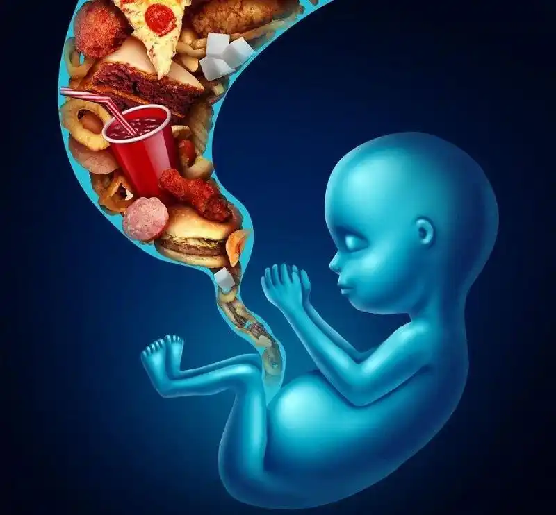 胎儿能品尝到食物的味道吗?看完他吃饭的方式,直觉生命的神奇