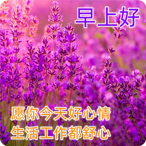 清晨早上好问候语表情图片大全中老年早安表情包