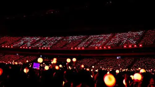 华晨宇粉丝来了华晨宇的数据想看吗