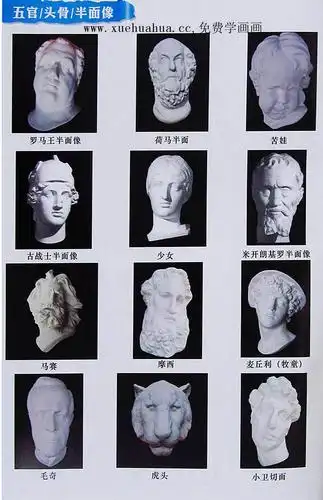 最全的石膏像名称对照图