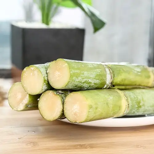 温州农特产礼盒装正宗陶山绿皮甘蔗青皮果蔗当季新鲜水果9根包邮