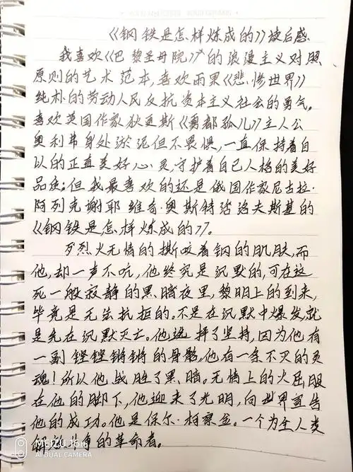 这是抄写的作文