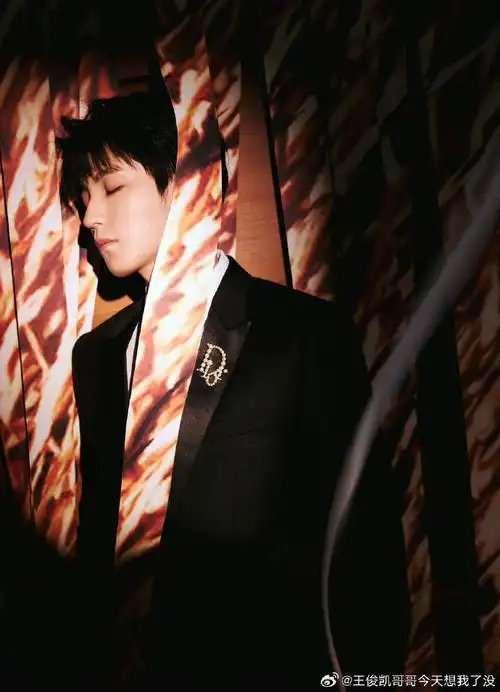 王俊凯亮相金爵奖颁奖典礼