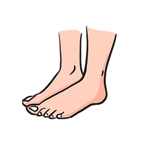 站立的双脚手绘插画素材脚底板站立四肢