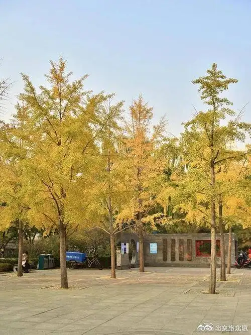 东花市街道黄昏美景