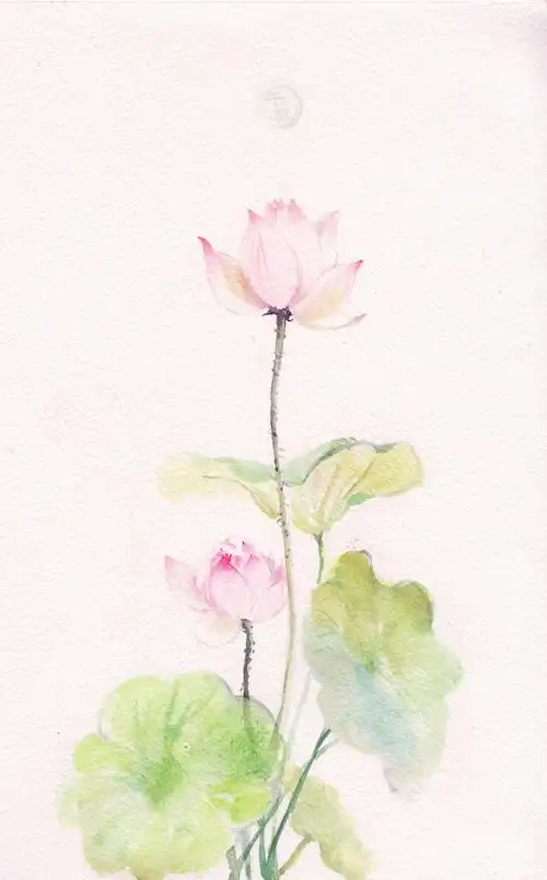 花草水墨封面淡雅唯美插画古风