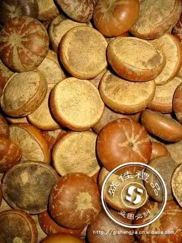 壮阳果你见过吗