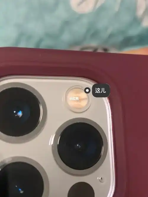 苹果12pro闪光灯进灰了