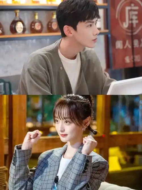 剧名:我的助理六十岁集数:37集主演:王子文 邓婕 白敬亭 何泓姗90姜