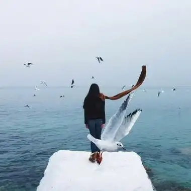 海边女生头像背影女生海边背影头像高清