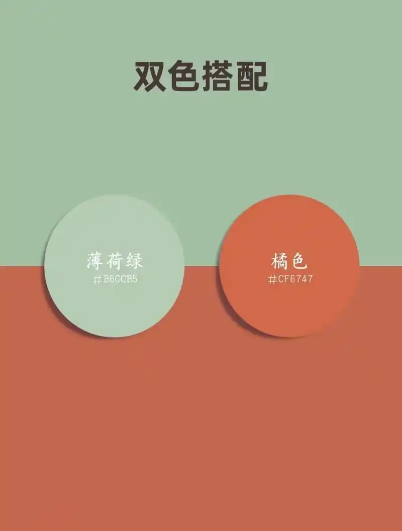 高级感配色–薄荷绿#配色 #设计#绘画  - 抖音
