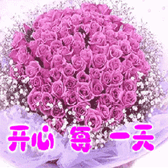 240_240gif 动态图 动图