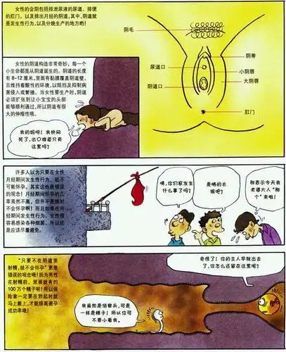 主题:漫画青春期性知识-男生女生都好奇(11p)