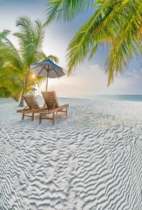 大海背景布 大海沙滩蓝天白云海边椰树风景主播拍视频段子直播背景布