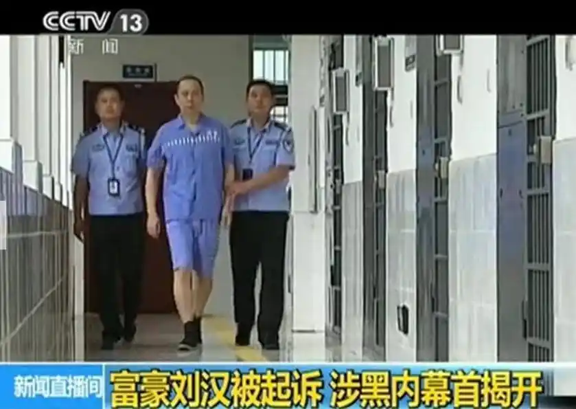 他身价百亿,因捐款5千万闻名全国,执行死刑前说了4字给人警示_刘汉