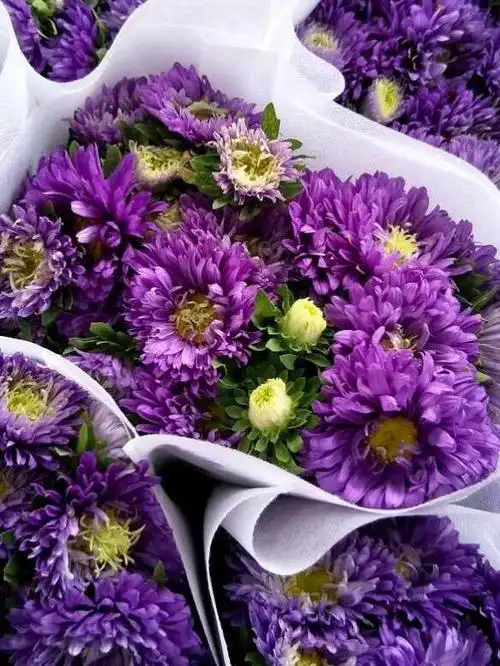 【花时间】8月14日周一鲜花梵高玉米也来了