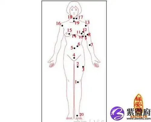 女人全身痣相图解大全