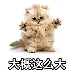 猫咪gif可爱gif爪子gif大概这么大gif