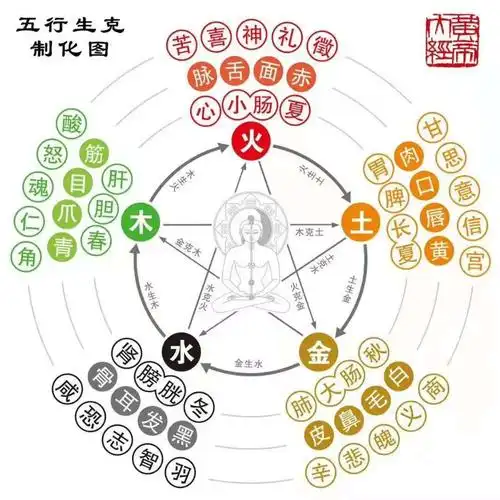 "全民健身日"———绽放我们的健康生活