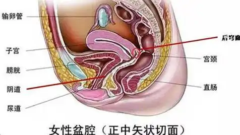 用卫生棉条是一件很羞耻的事吗?