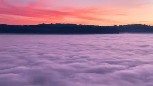 粉色的浪漫,高清壁纸图片,五颜六色-回车桌面