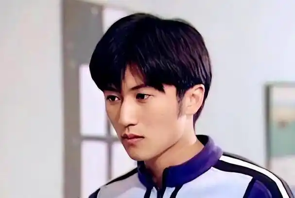 在谢霆锋刚刚出道的时候,他还是一个十几岁的少年,而当时的王菲已经是