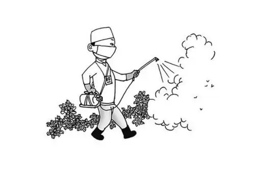 涨知识除四害保健康