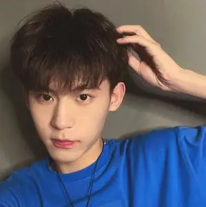 假发男生帅气短直发时尚日常可齐可斜空气刘海气质冬季学生碎盖头