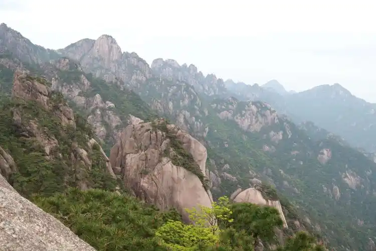 黄山标志性景观～迎客松