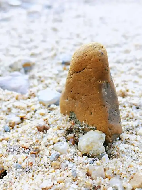 2020.5.10小石头 - 美篇