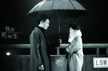 《我的前半生》海报曝光 靳东半路牵手马伊琍