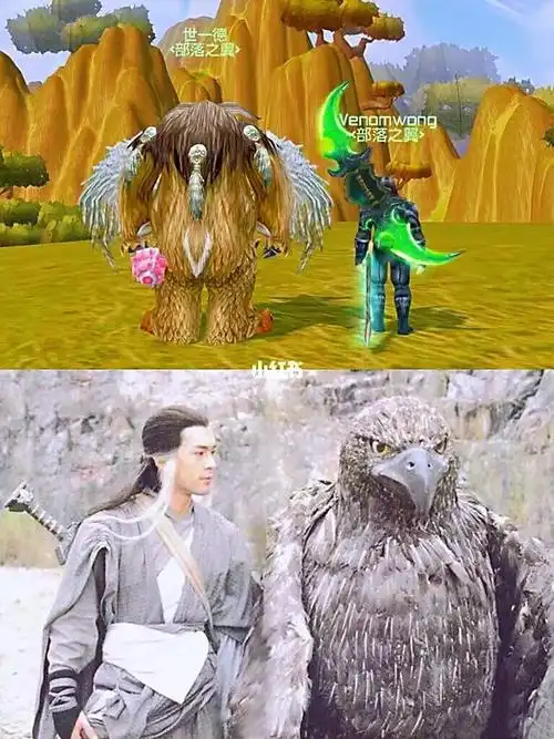 杨过雕兄魔兽世界