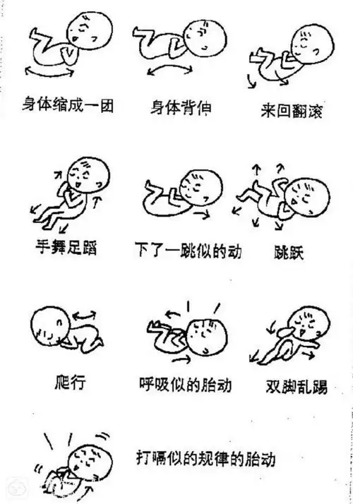 不同月份胎动都会不一样,我来说说区别