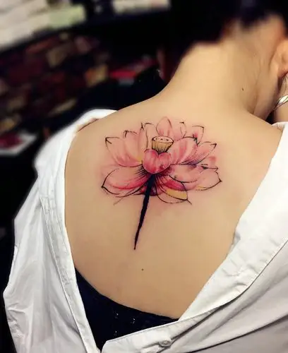 性感美女后背彩色荷花纹身图案