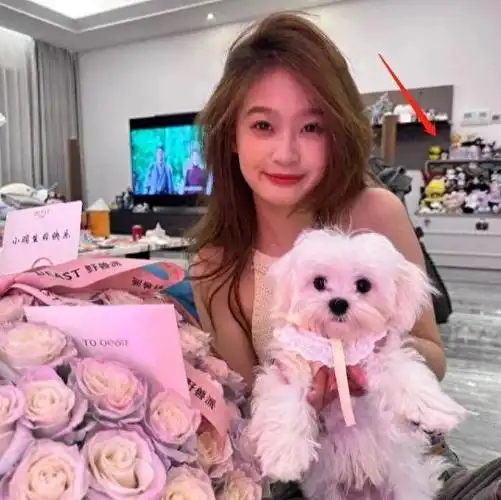 回顾王思聪交新女友长相清甜不输明星交往仅一月疑似已同居