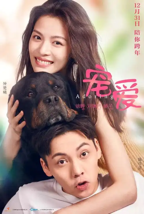 口碑低迷,票房攀升,徐峥监制的电影《宠爱》到底如何?